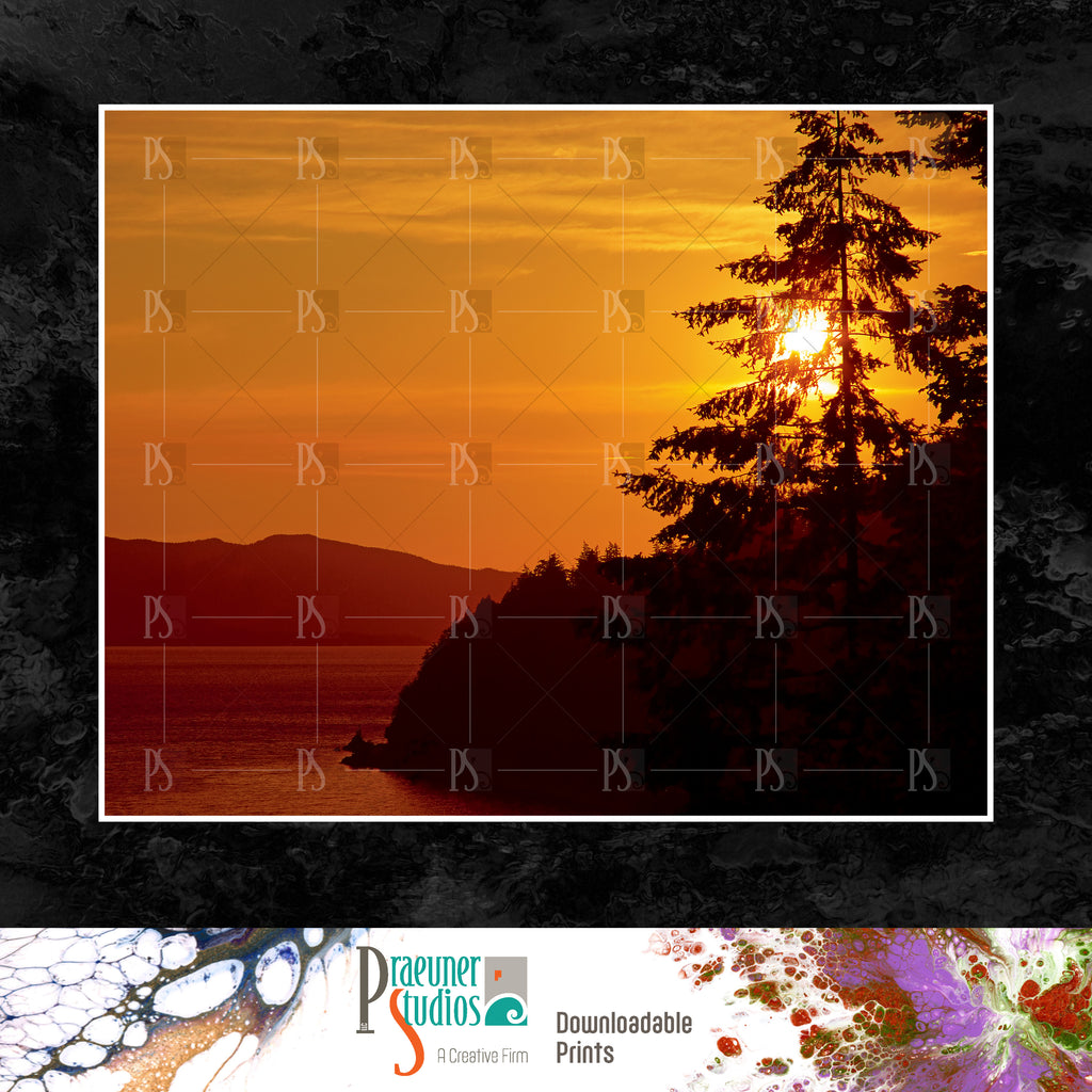 Orange San Juan Island Sunset with Tree Silhouette and Water, Puget Sound, Summer - Landscape