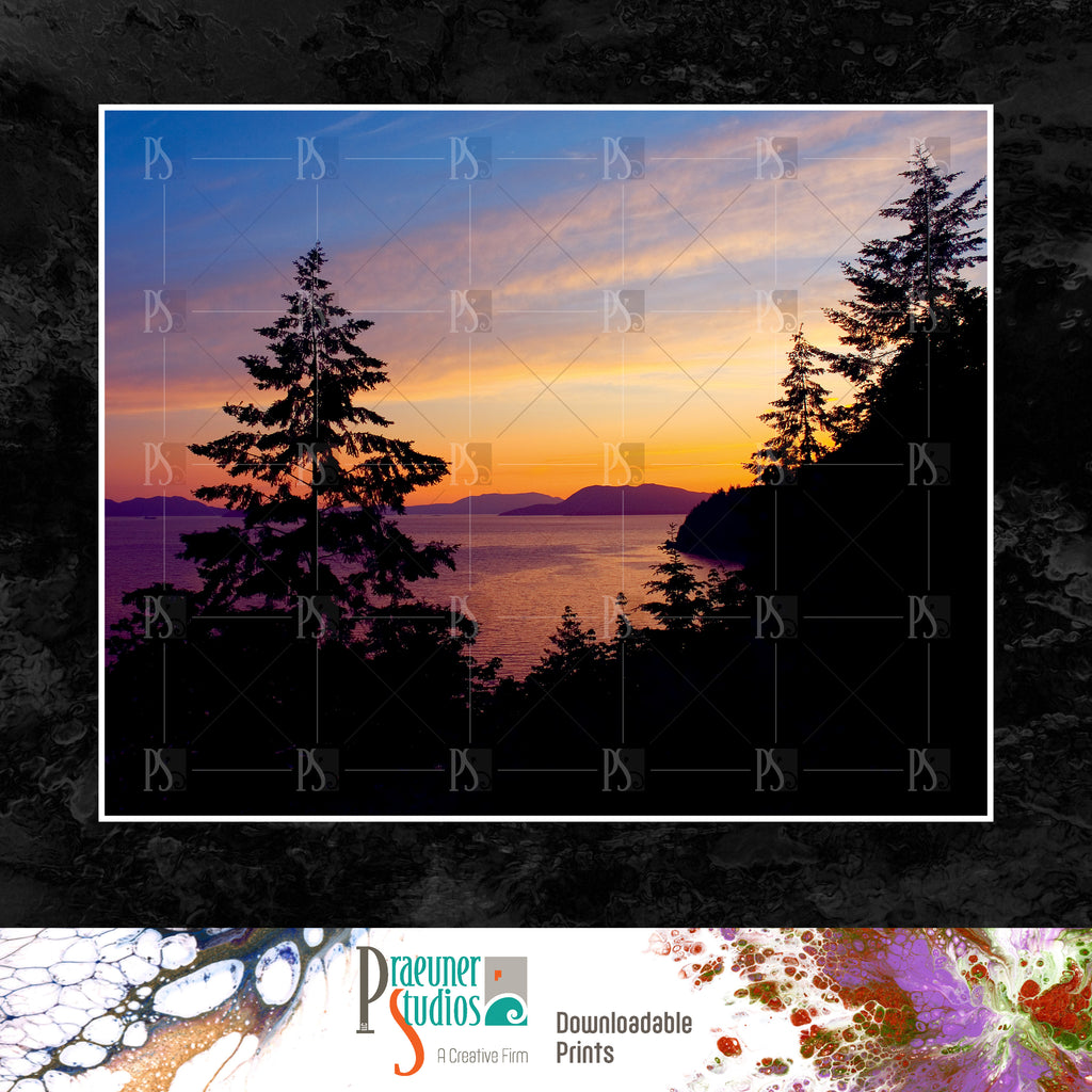 San Juan Island Sunset with Tree Silhouette and Water, Vibrant Blue, Pink, Purple Puget Sound, Summer - Landscape