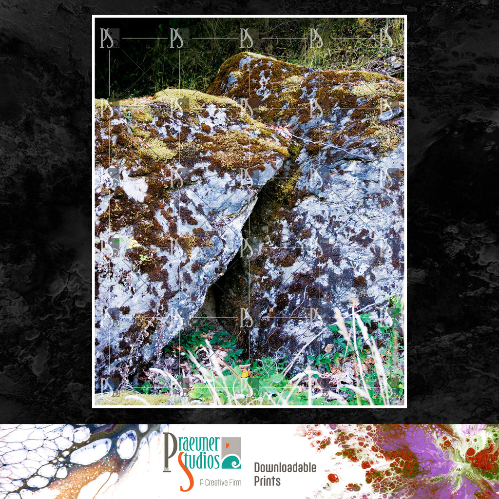 Moss Covered Rocks in Washington, Summer - Portrait