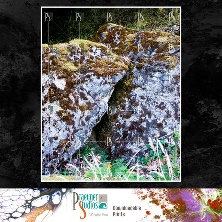Moss Covered Rocks in Washington, Summer - Portrait