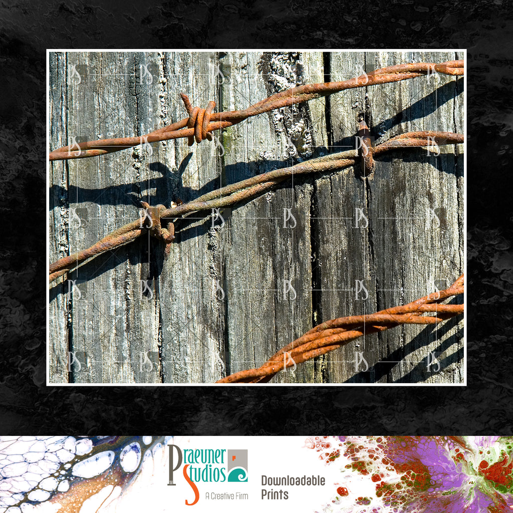 Barbed Wire Rustic Country Living Landscape – Praeuner Studios