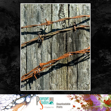 Barbed Wire Rustic Country Living Portrait